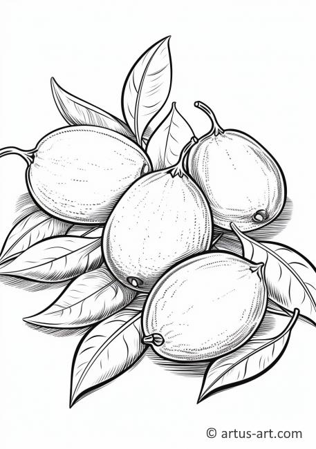 Key Lime Coloring Page